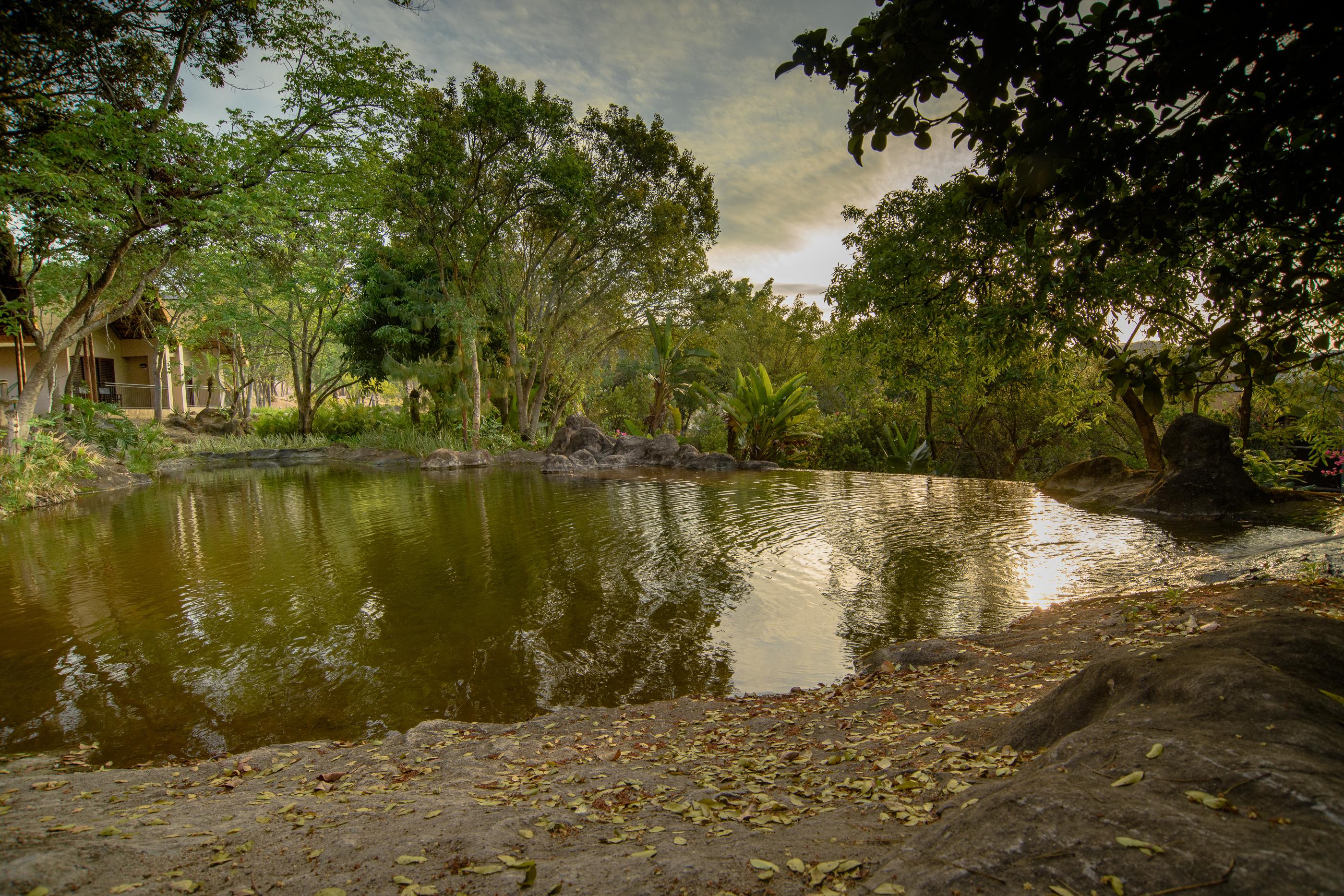 Umbhaba Eco Lodge Hazyview Exteriör bild